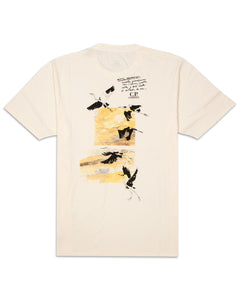 Cp Company Jersey 24/1 Sketch Graphic T-Shirt In Cream